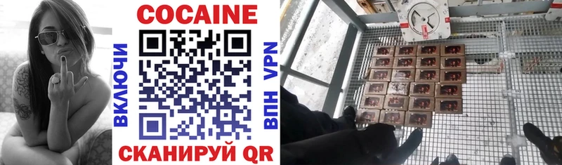 Кокаин FishScale  Купить закладки  Губкин 