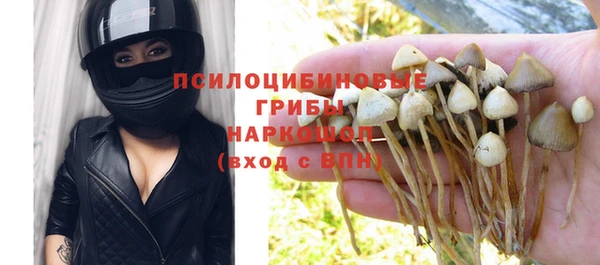 ECSTASY Зеленодольск