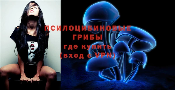 прущий лед Инсар