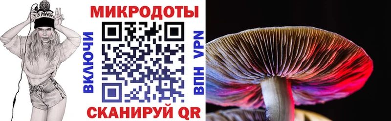 Псилоцибиновые грибы Cubensis Губкин