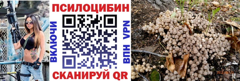 Купить  Губкин  Псилоцибиновые грибы прущие грибы 